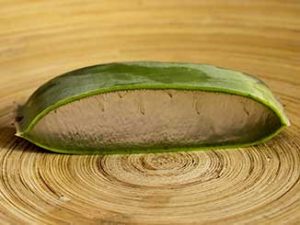 アロエベラの有効成分