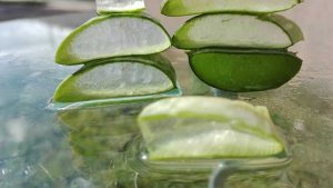 アロエベラの食べ方